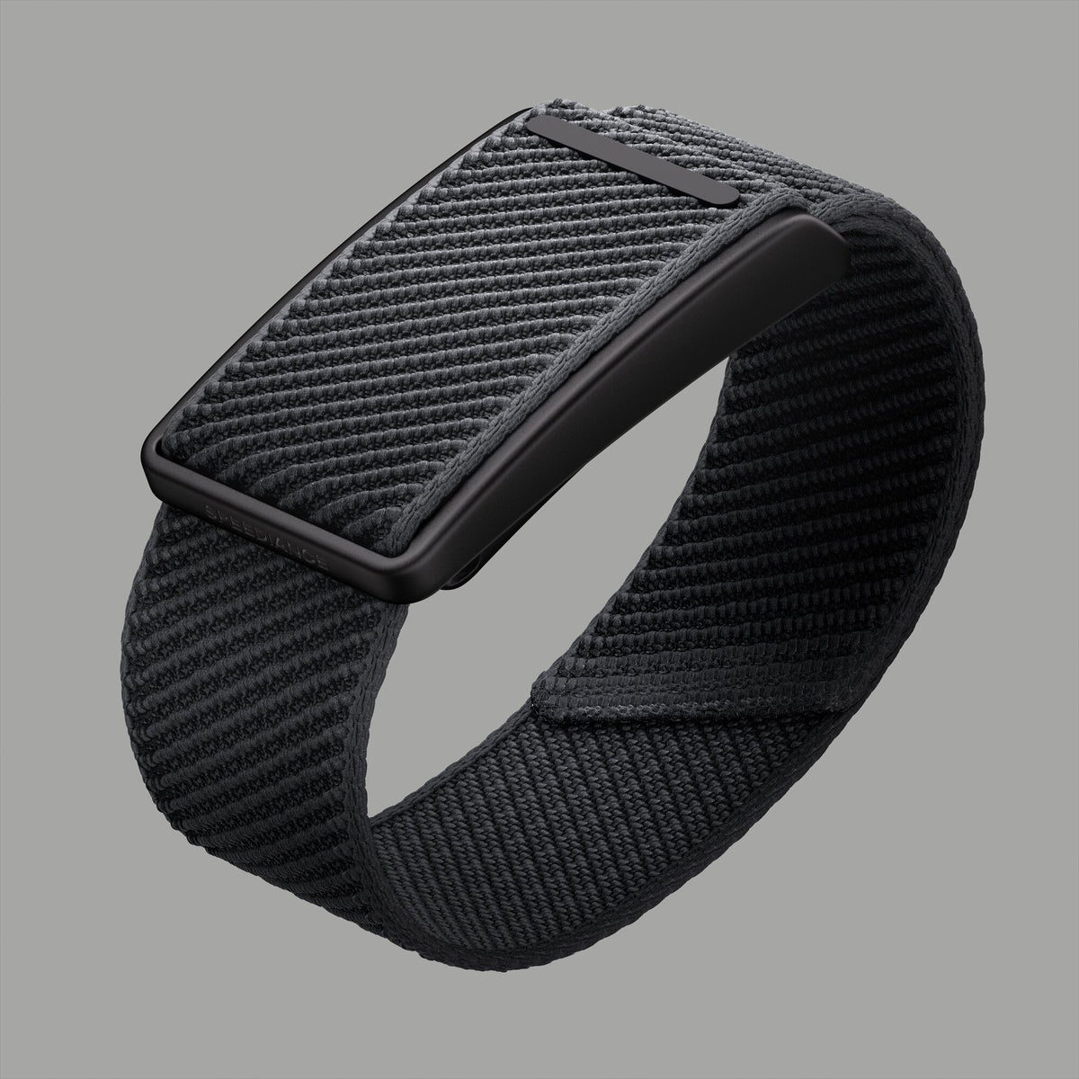 Speediance Strap Standard Carbon Black, case and woven band