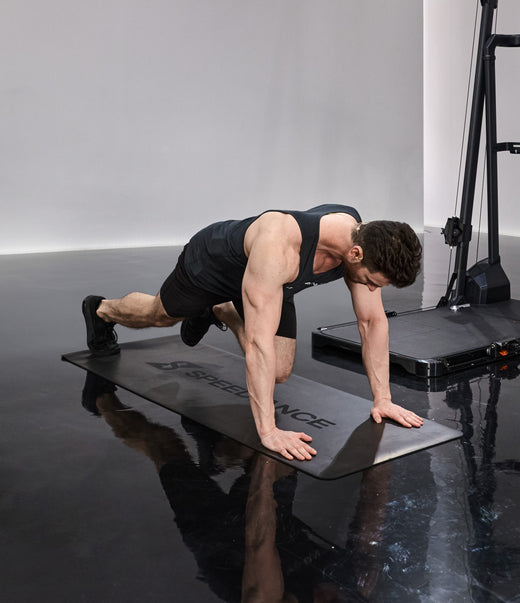 Mountain Climbers